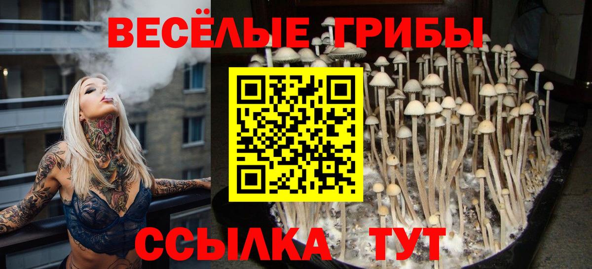 Галлюциногенные грибы ЛСД Жуковский